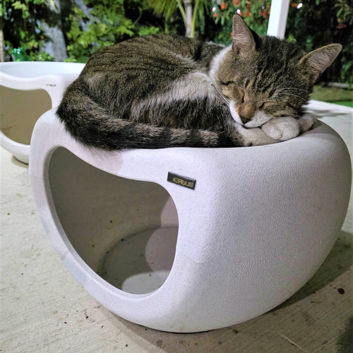 Cat Cave and Seat Bench - Indoor & Outdoor Use, Stylish & Durable with Non-Slip Base