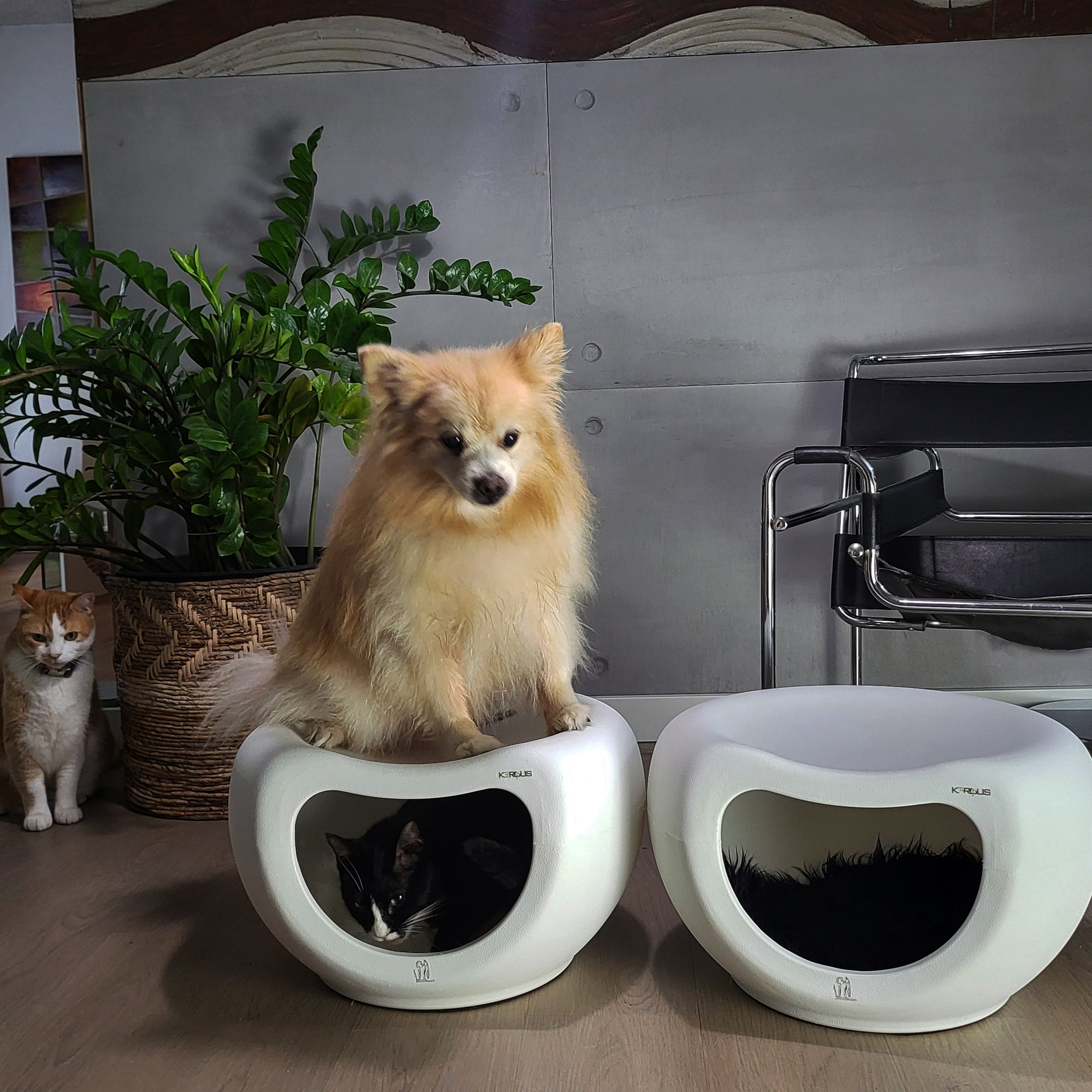 Cat Cave and Seat Bench - Indoor & Outdoor Use, Stylish & Durable with Non-Slip Base