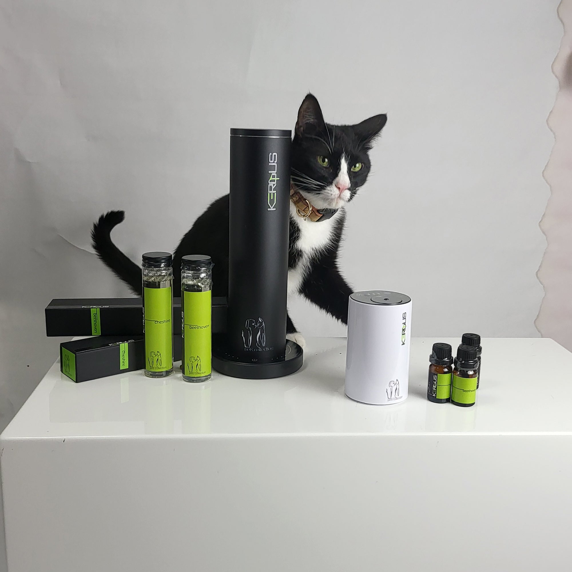 Neutralizer Portable Bluetooth Diffuser Kit — Beethoven + Cheshire (100 mL each)