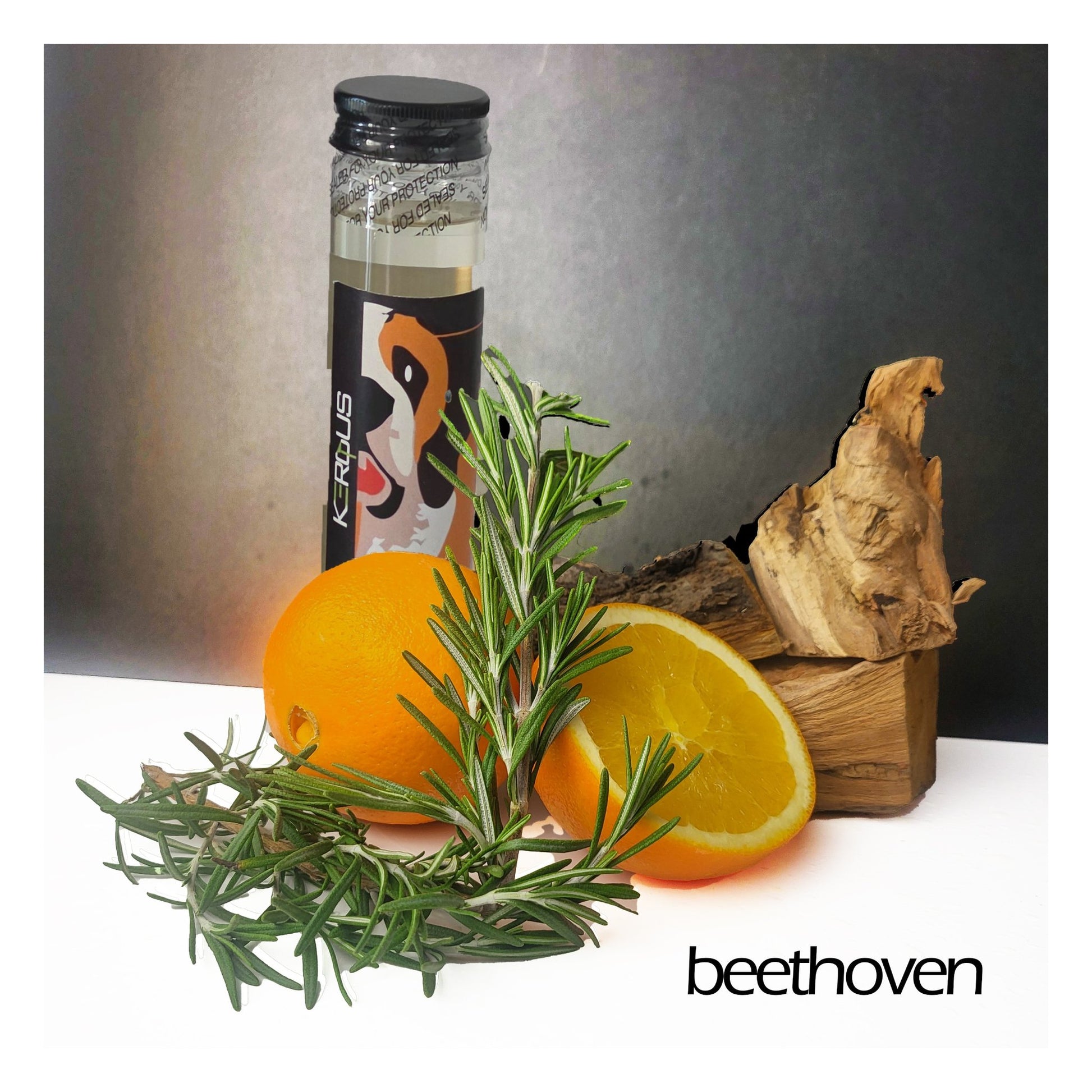 Kerqus Beethoven fragrance — rosemary, citrus & wood notes — natural essential oil